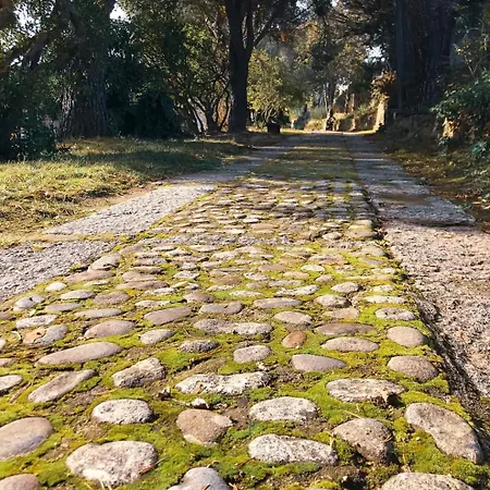 La Higuerilla, Casas Del Tormes 빌라 *