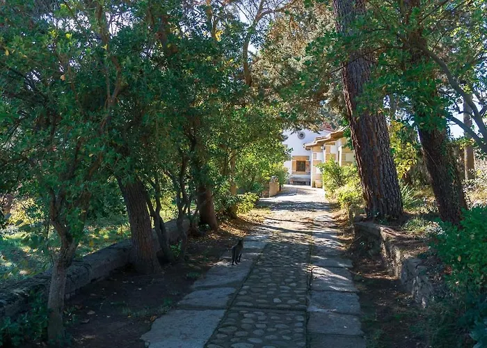 빌라 La Higuerilla *