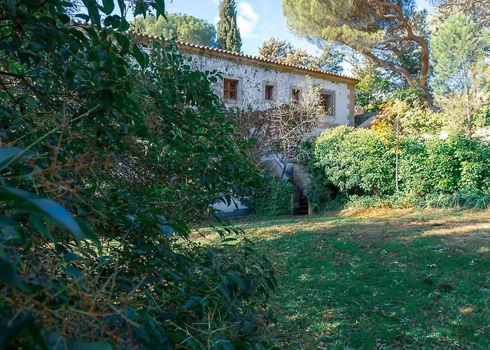 La Higuerilla El Barco de Ávila