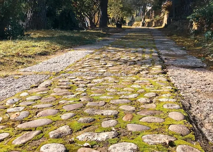 La Higuerilla 빌라 *